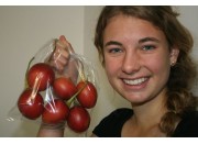 SPRAY FREE TAMARILLOS 500 Grams Katikati Grown